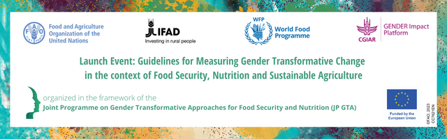 Launch Event Guidelines On Measuring Gender Transformative Change
